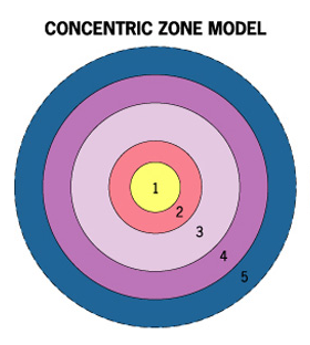 Concentric Zone Model Diagram | Quizlet